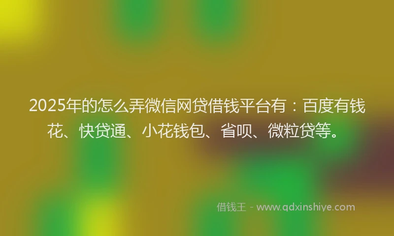 2025年的怎么弄微信网贷借钱平台有：百度有钱花、快贷通、小花钱包、省呗、微粒贷等。