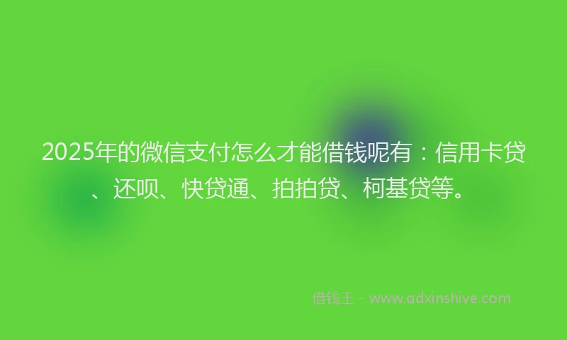 2025年的微信支付怎么才能借钱呢有：信用卡贷、还呗、快贷通、拍拍贷、柯基贷等。