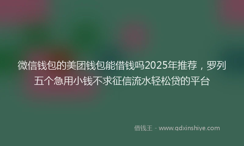微信钱包的美团钱包能借钱吗2025年推荐，罗列五个急用小钱不求征信流水轻松贷的平台