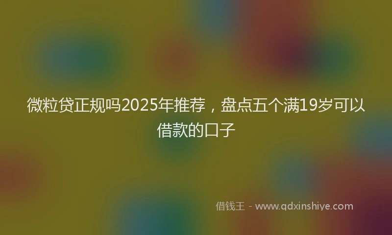 微粒贷正规吗2025年推荐，盘点五个满19岁可以借款的口子