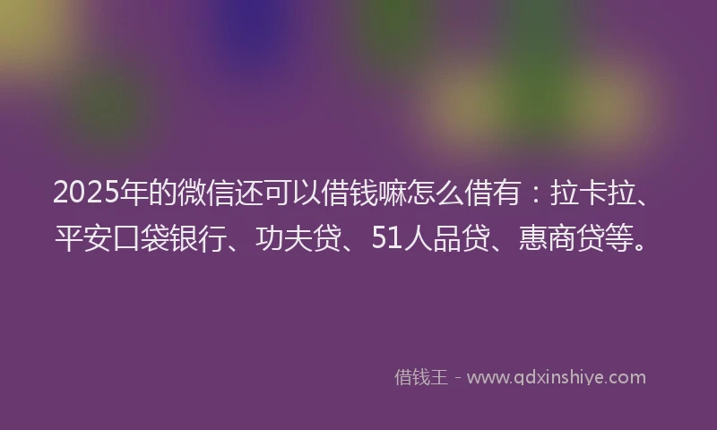 2025年的微信还可以借钱嘛怎么借有：拉卡拉、平安口袋银行、功夫贷、51人品贷、惠商贷等。