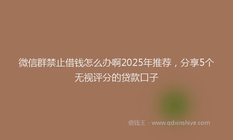 微信群禁止借钱怎么办啊2025年推荐，分享5个无视评分的贷款口子