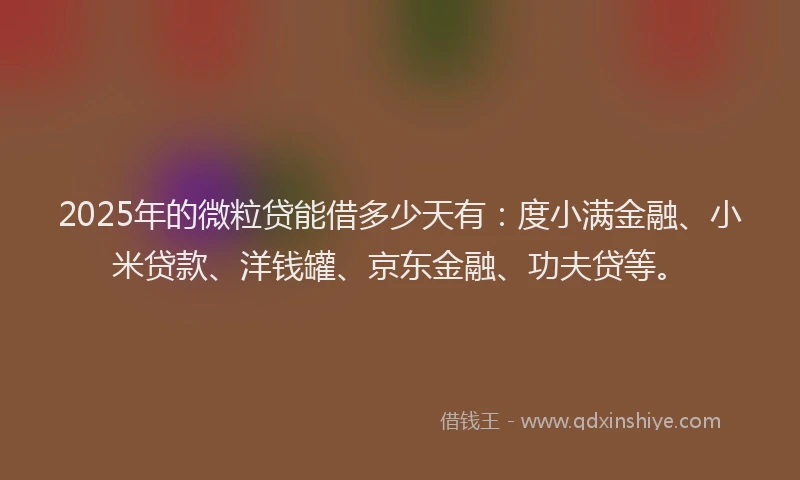 2025年的微粒贷能借多少天有：度小满金融、小米贷款、洋钱罐、京东金融、功夫贷等。