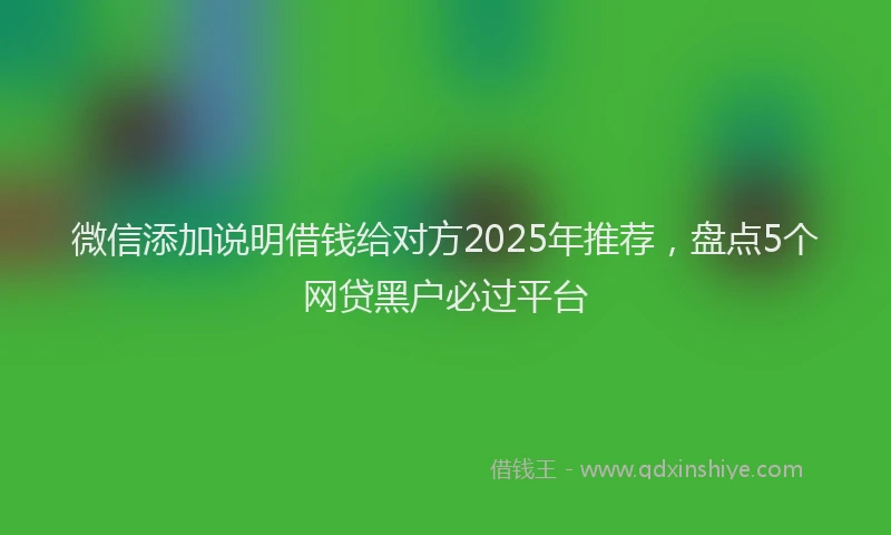 微信添加说明借钱给对方2025年推荐，盘点5个网贷黑户必过平台