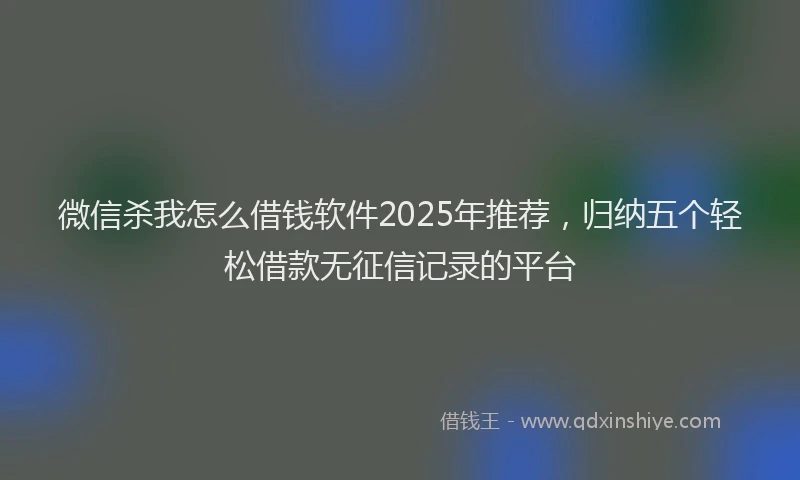 微信杀我怎么借钱软件2025年推荐，归纳五个轻松借款无征信记录的平台
