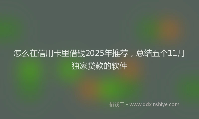 怎么在信用卡里借钱2025年推荐，总结五个11月独家贷款的软件