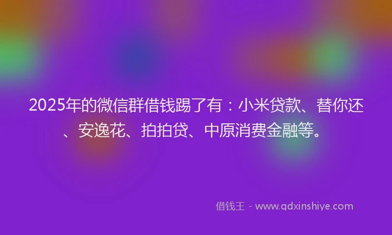 2025年的微信群借钱踢了有：小米贷款、替你还、安逸花、拍拍贷、中原消费金融等。