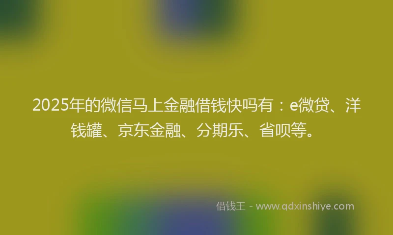 2025年的微信马上金融借钱快吗有：e微贷、洋钱罐、京东金融、分期乐、省呗等。