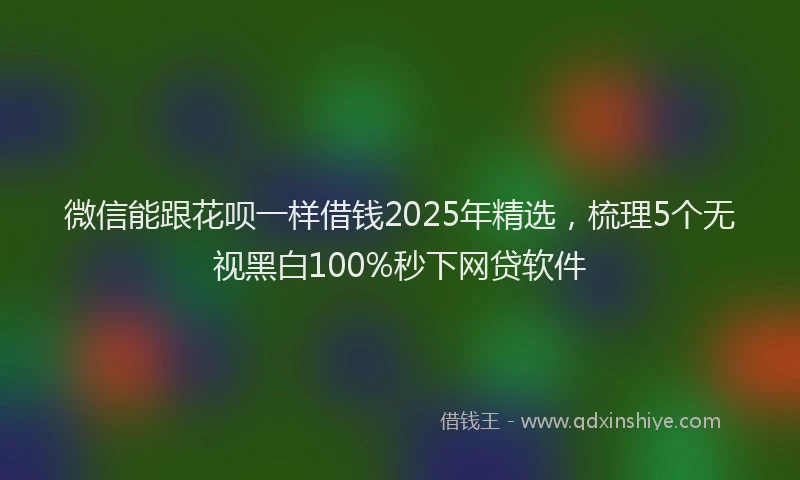 微信能跟花呗一样借钱2025年精选，梳理5个无视黑白100%秒下网贷软件