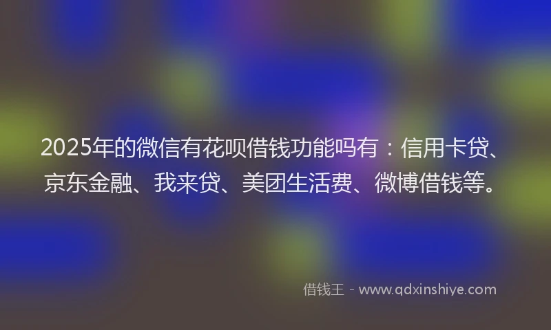 2025年的微信有花呗借钱功能吗有：信用卡贷、京东金融、我来贷、美团生活费、微博借钱等。