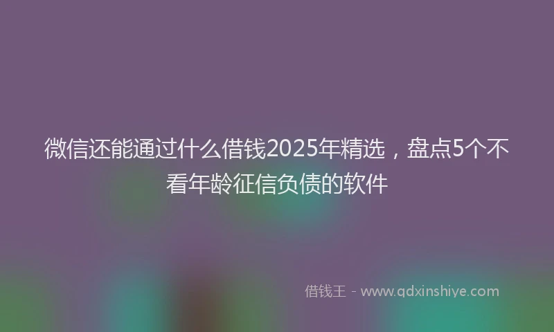 微信还能通过什么借钱2025年精选，盘点5个不看年龄征信负债的软件