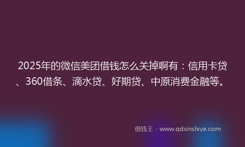 2025年的微信美团借钱怎么关掉啊有：信用卡贷、360借条、滴水贷、好期贷、中原消费金融等。