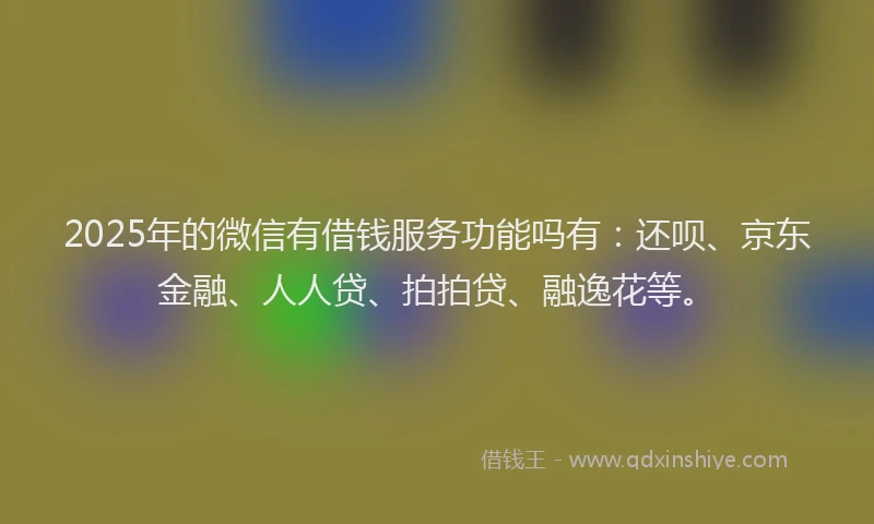 2025年的微信有借钱服务功能吗有：还呗、京东金融、人人贷、拍拍贷、融逸花等。
