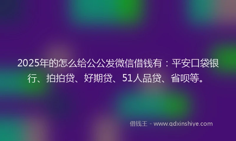 2025年的怎么给公公发微信借钱有：平安口袋银行、拍拍贷、好期贷、51人品贷、省呗等。