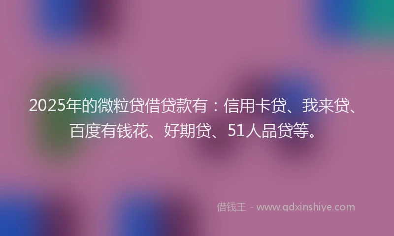 2025年的微粒贷借贷款有：信用卡贷、我来贷、百度有钱花、好期贷、51人品贷等。