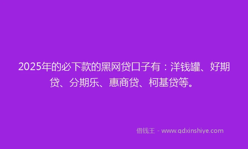 2025年的必下款的黑网贷口子有：洋钱罐、好期贷、分期乐、惠商贷、柯基贷等。