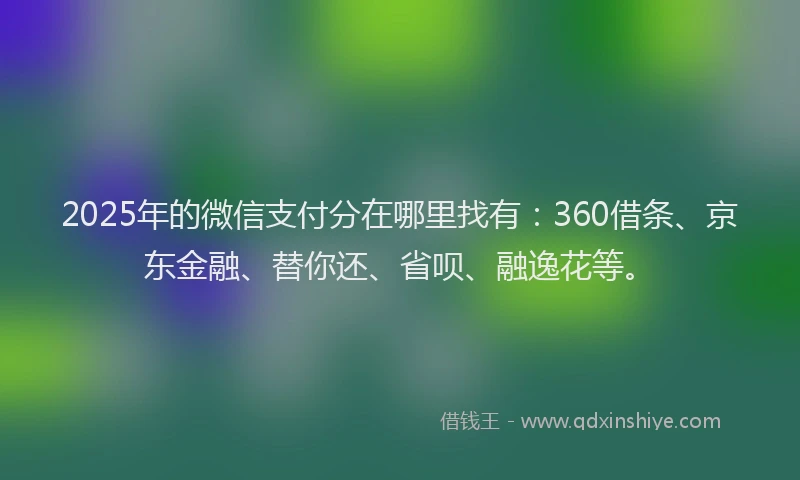 2025年的微信支付分在哪里找有：360借条、京东金融、替你还、省呗、融逸花等。