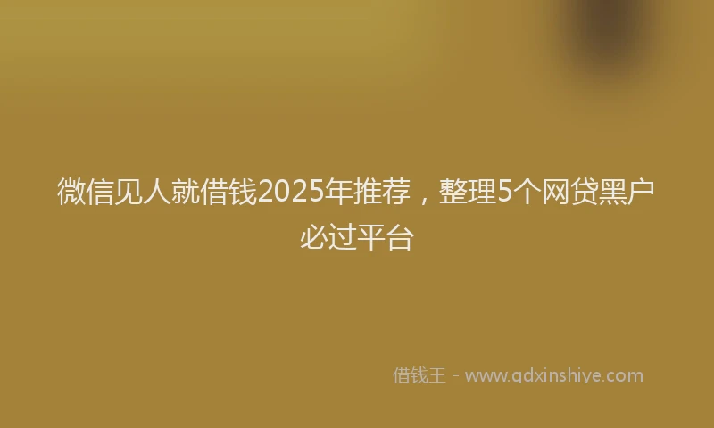 微信见人就借钱2025年推荐，整理5个网贷黑户必过平台