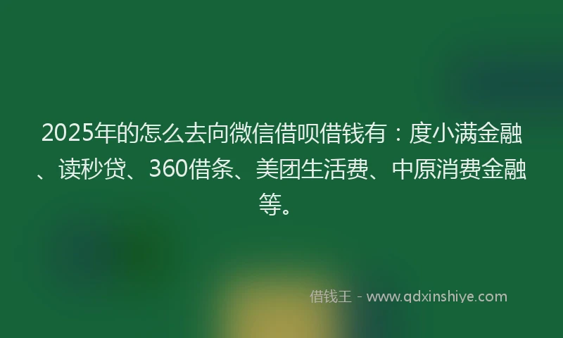 2025年的怎么去向微信借呗借钱有：度小满金融、读秒贷、360借条、美团生活费、中原消费金融等。