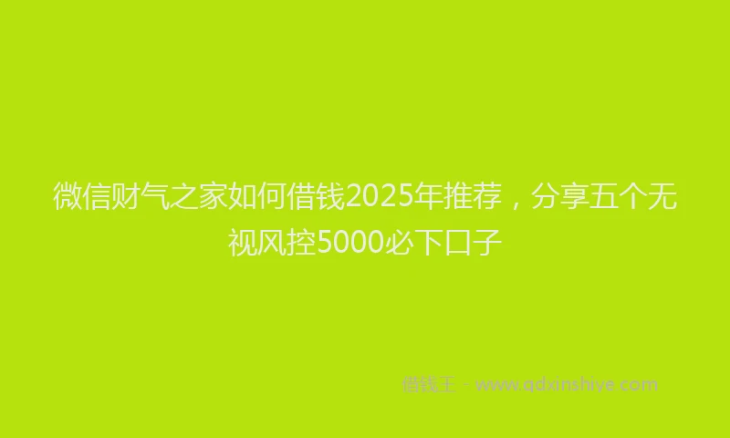 微信财气之家如何借钱2025年推荐，分享五个无视风控5000必下口子