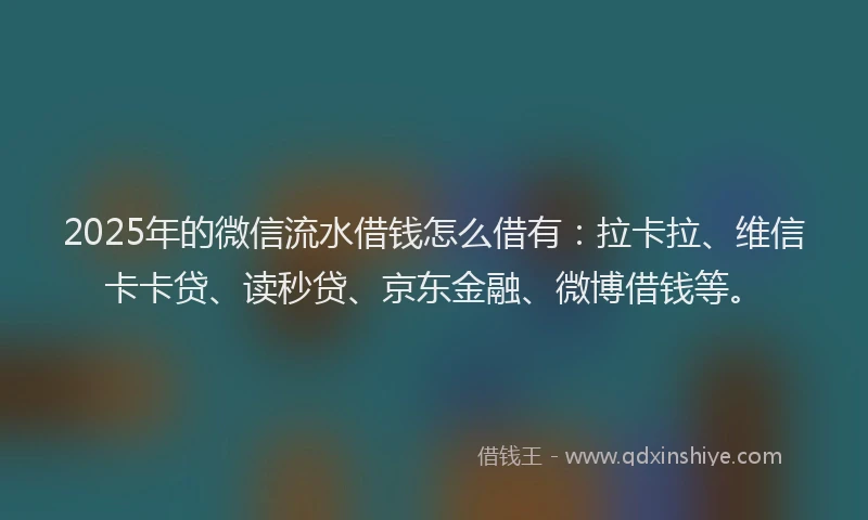2025年的微信流水借钱怎么借有：拉卡拉、维信卡卡贷、读秒贷、京东金融、微博借钱等。