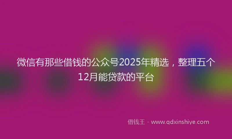 微信有那些借钱的公众号2025年精选，整理五个12月能贷款的平台