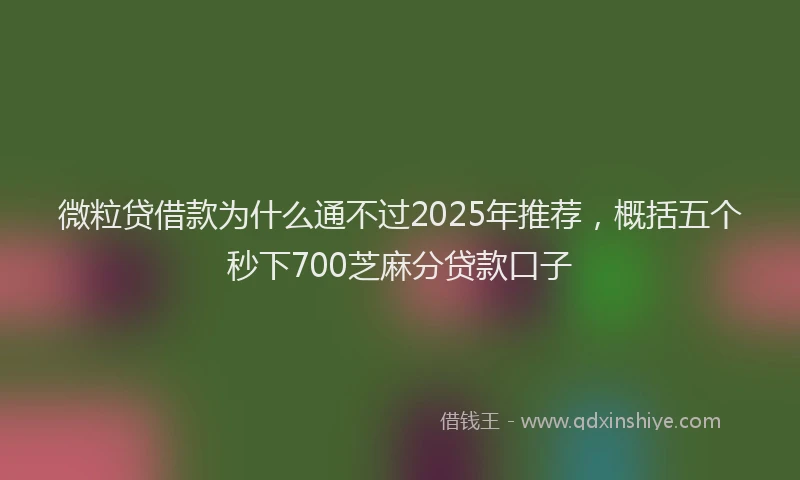 微粒贷借款为什么通不过2025年推荐，概括五个秒下700芝麻分贷款口子
