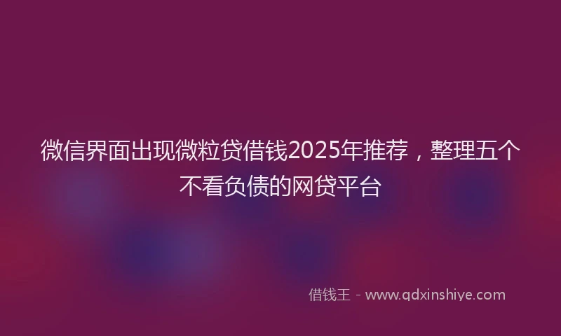 微信界面出现微粒贷借钱2025年推荐，整理五个不看负债的网贷平台