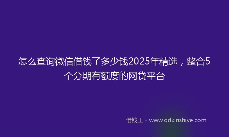 怎么查询微信借钱了多少钱2025年精选，整合5个分期有额度的网贷平台