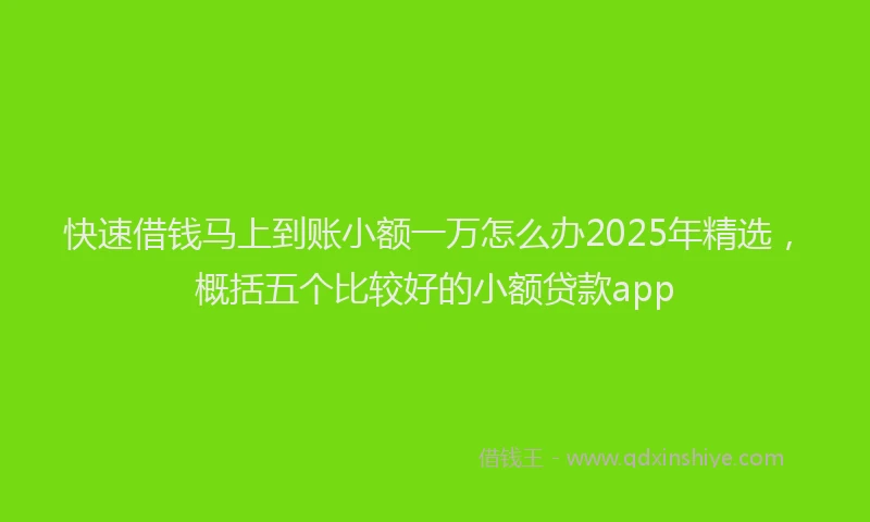 快速借钱马上到账小额一万怎么办2025年精选，概括五个比较好的小额贷款app