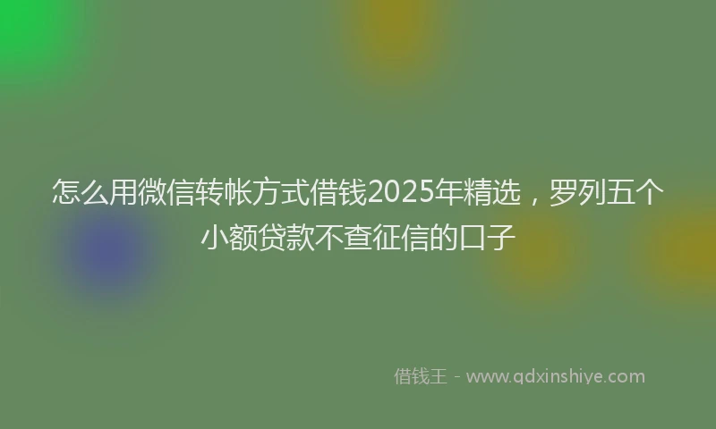 怎么用微信转帐方式借钱2025年精选，罗列五个小额贷款不查征信的口子