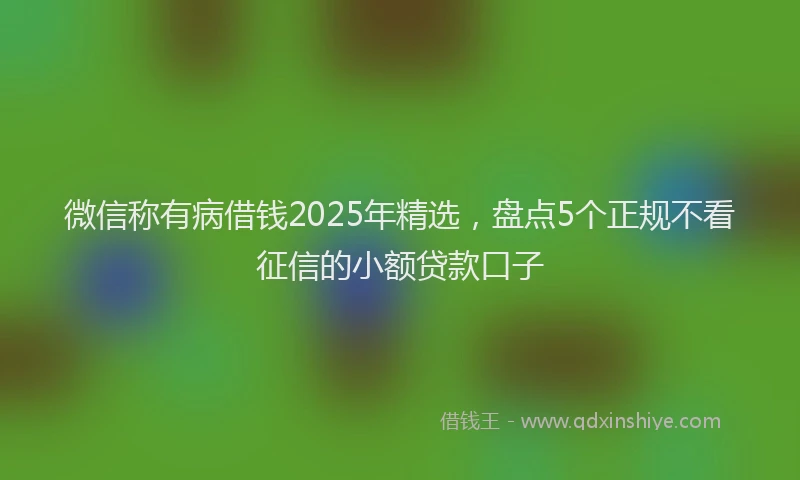 微信称有病借钱2025年精选，盘点5个正规不看征信的小额贷款口子