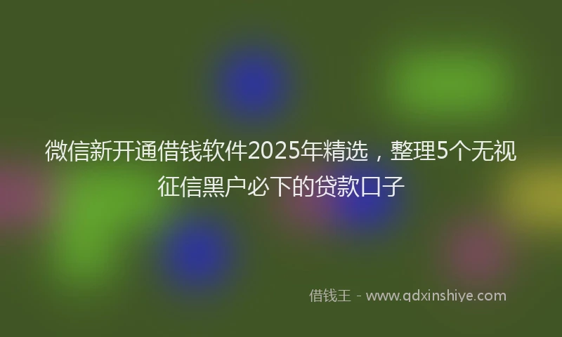 微信新开通借钱软件2025年精选，整理5个无视征信黑户必下的贷款口子