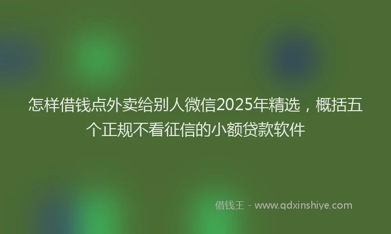 怎样借钱点外卖给别人微信2025年精选，概括五个正规不看征信的小额贷款软件