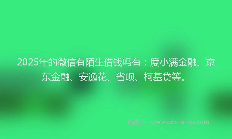 2025年的微信有陌生借钱吗有：度小满金融、京东金融、安逸花、省呗、柯基贷等。
