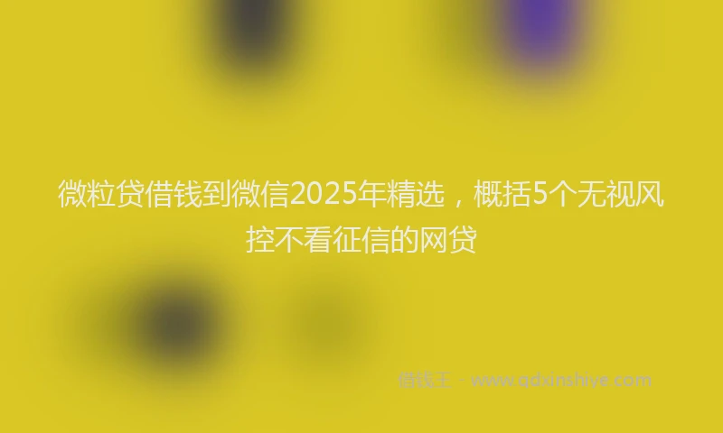 微粒贷借钱到微信2025年精选，概括5个无视风控不看征信的网贷