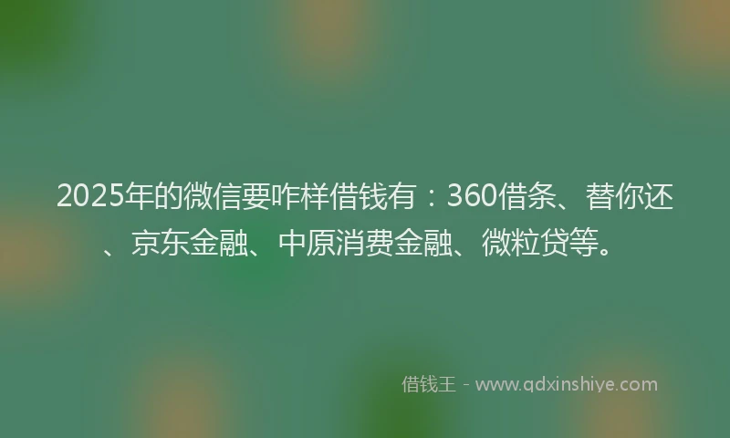 2025年的微信要咋样借钱有：360借条、替你还、京东金融、中原消费金融、微粒贷等。