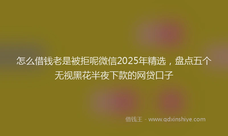 怎么借钱老是被拒呢微信2025年精选，盘点五个无视黑花半夜下款的网贷口子