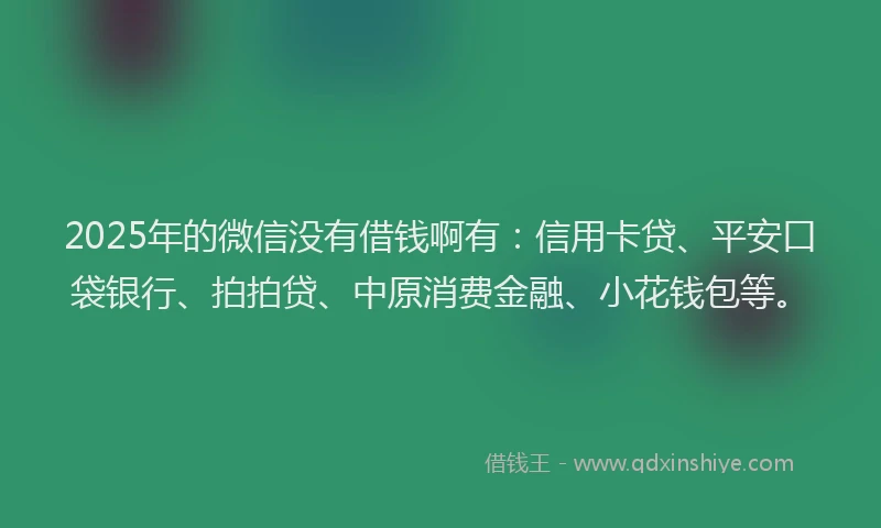 2025年的微信没有借钱啊有：信用卡贷、平安口袋银行、拍拍贷、中原消费金融、小花钱包等。