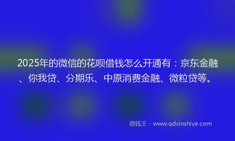2025年的微信的花呗借钱怎么开通有：京东金融、你我贷、分期乐、中原消费金融、微粒贷等。