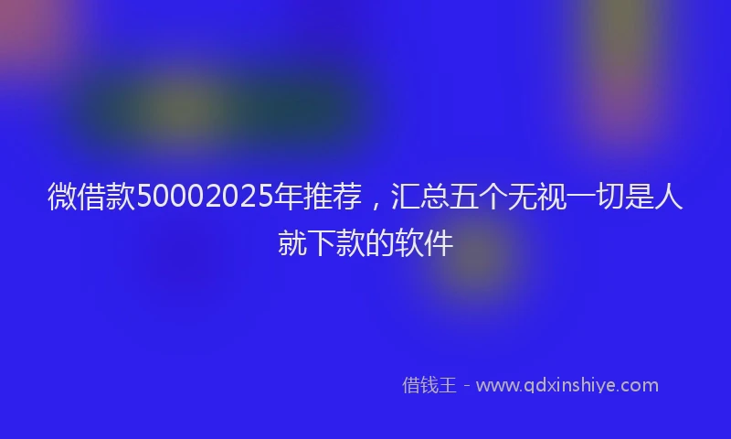 微借款50002025年推荐，汇总五个无视一切是人就下款的软件