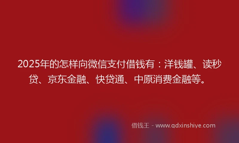 2025年的怎样向微信支付借钱有：洋钱罐、读秒贷、京东金融、快贷通、中原消费金融等。
