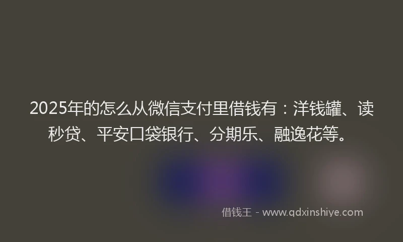 2025年的怎么从微信支付里借钱有：洋钱罐、读秒贷、平安口袋银行、分期乐、融逸花等。