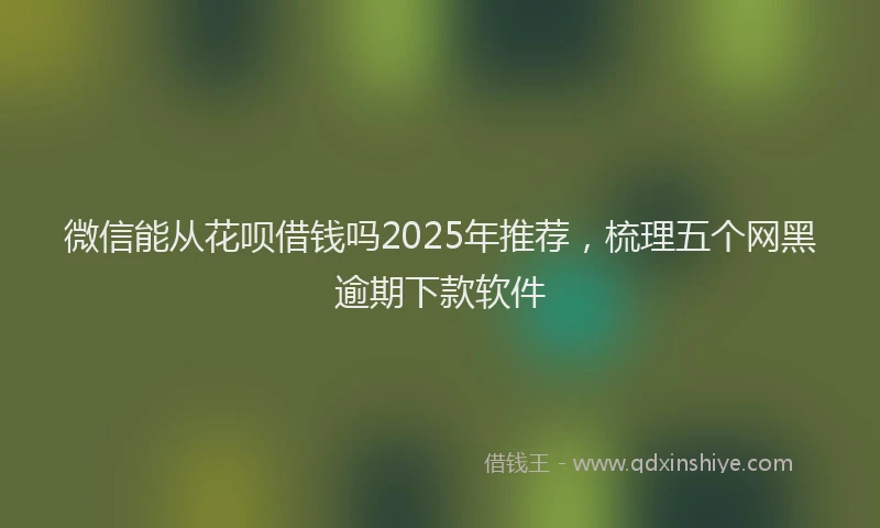 微信能从花呗借钱吗2025年推荐，梳理五个网黑逾期下款软件