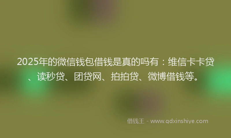 2025年的微信钱包借钱是真的吗有：维信卡卡贷、读秒贷、团贷网、拍拍贷、微博借钱等。