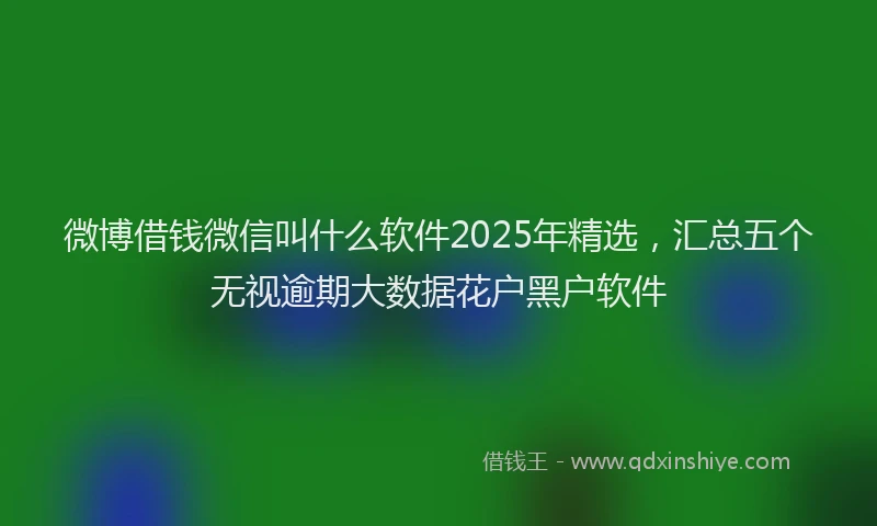 微博借钱微信叫什么软件2025年精选，汇总五个无视逾期大数据花户黑户软件