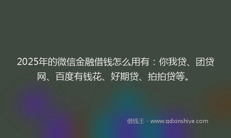 2025年的微信金融借钱怎么用有：你我贷、团贷网、百度有钱花、好期贷、拍拍贷等。