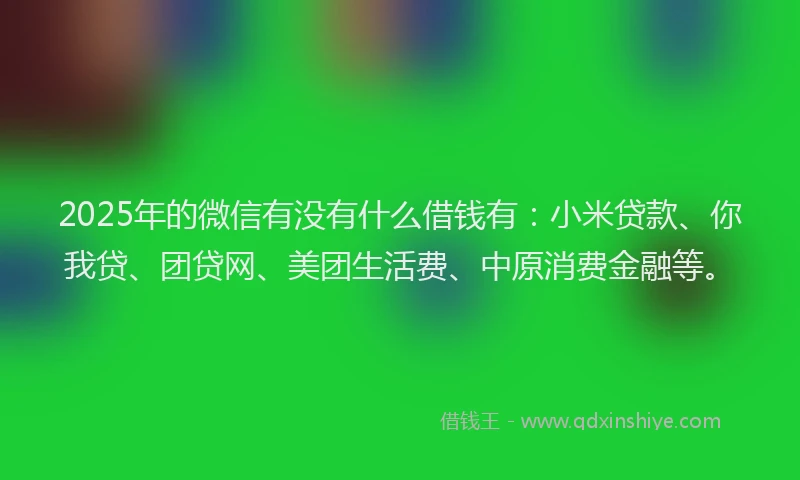2025年的微信有没有什么借钱有：小米贷款、你我贷、团贷网、美团生活费、中原消费金融等。
