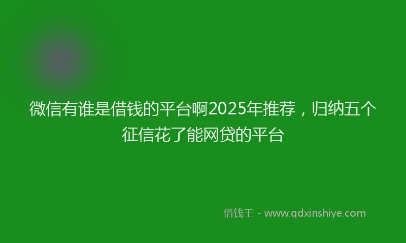 微信有谁是借钱的平台啊2025年推荐，归纳五个征信花了能网贷的平台