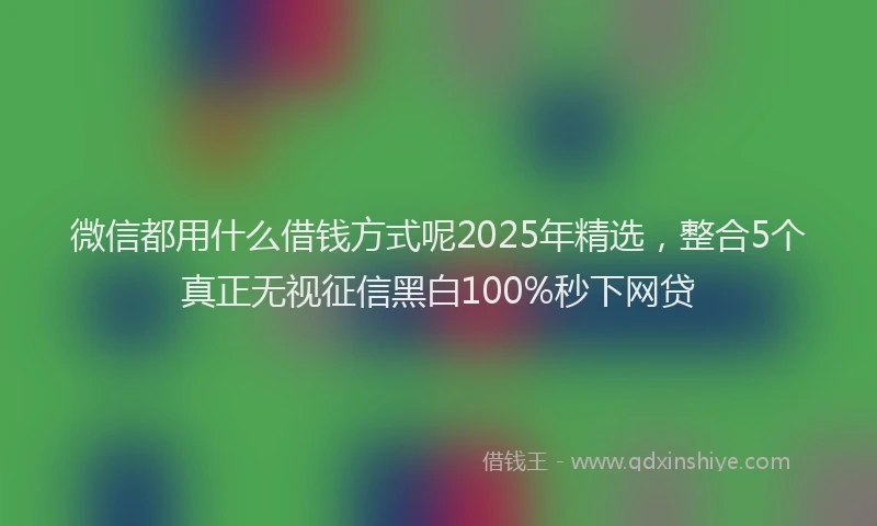 微信都用什么借钱方式呢2025年精选，整合5个真正无视征信黑白100%秒下网贷